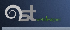 1stwebdesigner