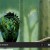6 plugins de jQuery para implementar tu propia Galería