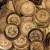 Silk Road 2 ha sido hackeado y los daños ascienden a $2.7 millones